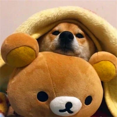 شیخ رشید profile picture